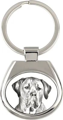 Productafbeelding van Tosa Inu sleutelhanger met foto van een hond Art-Dog