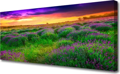 Produktbild von Tulup Leinwand-Bilder 125x50 Wandbild Canvas Kunstdruck Wiese Natur