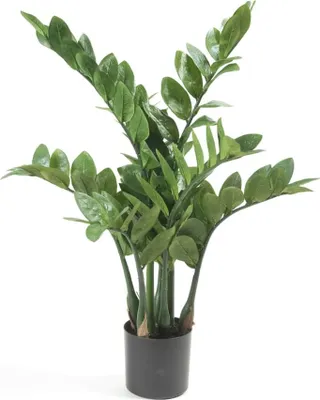 Produktbild von Emerald Kunstpflanze Zamioculcas Glücksfeder 70 cm