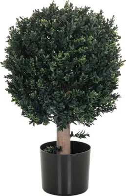 Produktbild von hjh OFFICE Kunstpflanze Buxus 871055