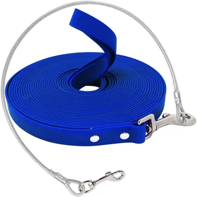 Image de Laisse pour chien, étanche, avec câble en acier, 10 mètres, bleue