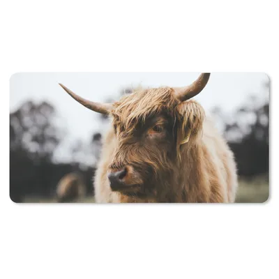 Produktbild von MuchoWow® Mauspad Mousepad Schottischer Highlander - Tiere - Hörner 60x30 cm - Mousepads - Maus Mat - Pad - Mausunterlage - Nachhaltig