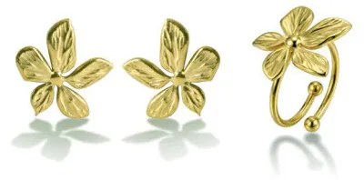 Produktbild von Vergoldetes Schmuckset VWS260849G ( Ring, Ohrringe)
