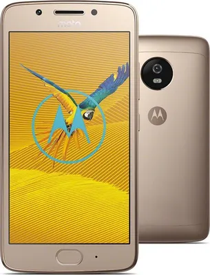 Produktbild von MOTOROLA Smartphone Moto G5 16GB Dual SIM Gold PA610069NL