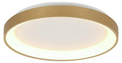 Produktbild von Steinhauer - deckenleuchte - Ringlede - gold - kunststoff - Ø 38cm - LED - 3691GO