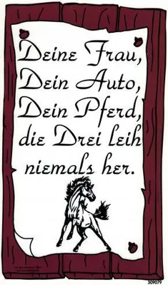 Produktbild von Schild - Deine Frau, Dein Auto ... - Gr. 25x15 cm - 309079