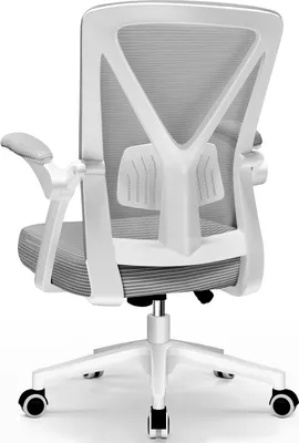 Rear view of an ergonomic office chair.