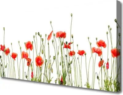 Produktbild von Tulup Leinwand-Bilder 100x50 Wandbild Canvas Kunstdruck Mohnblumen Pflanzen