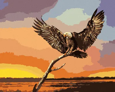 Produktbild von Zuty - Malen nach Zahlen - ADLER AUF EINEM AST (D. RUSTY RUST), 40x50 cm, mit Keilrahmen (bereits gespannt)