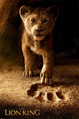 Immagine prodotto di Il Re Leone - Poster - Film - Futuro Re + 1 Ü-Poster dimensioni 61x91,5 cm