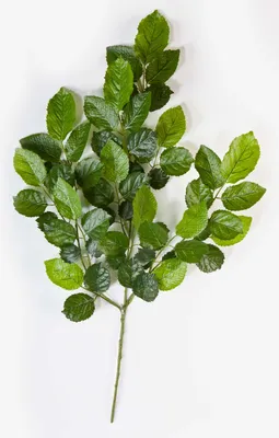 Produktbild von artplants.de Deko Buchenzweig Erick, 60 Blätter, grün, 60cm - Kunstzweig - Kunstpflanzen