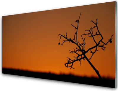 Produktbild von Acrylglasbilder 100x50 Wandbild Druck Baum Kunst