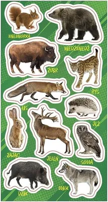 Image de Autocollants Animaux de la forêt