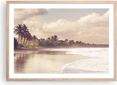 Produktbild von Gerahmtes Poster - Rahmen in heller Eiche - Palmen Strand Wasser - 70x50 cm - Wand Bild - Wanddeko - Wandbilder - Kunstposter - Wandposter - Bilderrahmen - Bilder - Kunstdruck - P2NAA70x50-4917