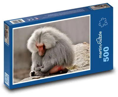 Obrázok produktu pre martinpuzzle – Puzzle 500 – Pavian – opica, zoo