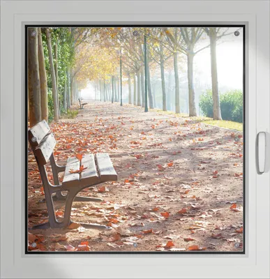 Produktbild von Wallario Lichtschutzbild, Dekorativer Sichtschutz Sonnenschutz 96 x 100 cm mit Motiv: Einsame Parkbank an einer Allee - Herbststimmung - Verdunklung ohne Bohren