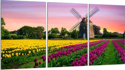 Produktbild von Glasschutzplatte für Herd 3x30x52