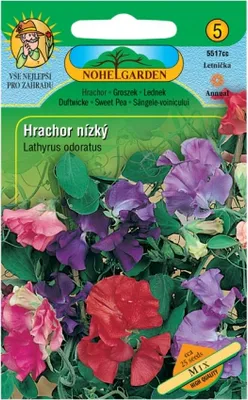 Obrázek produktu pro Hrachor vonný pnoucí nízký, směs