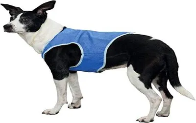 Produktbild von Famanu Kühlweste für Hunde - PVA - Größe S - Kühlendes Sommeraccessoire