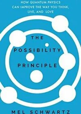 Produktbild von The Possibility Principle