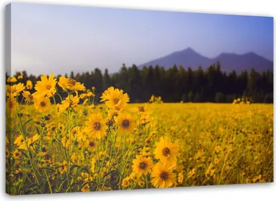 Produktbild von Leinwandbild felder mit gelben blumen 120x80 cm Feeby gelb wandbild bereit zum aufhängen