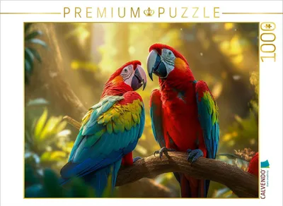 Produktbild von CALVENDO Puzzle verliebt | 1000 Teile Lege-Größe 64x48cm Foto-Puzzle für glückliche Stunden
