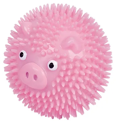 Obrázok produktu pre Nobby 60311, Pes, Lopta, Ružová, Guma, 6,5 cm