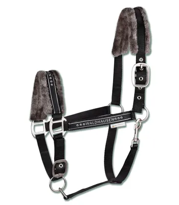 Produktbild von Waldhausen Fell Halfter ELEGANT schwarz weich gepolstert, Größe:WB