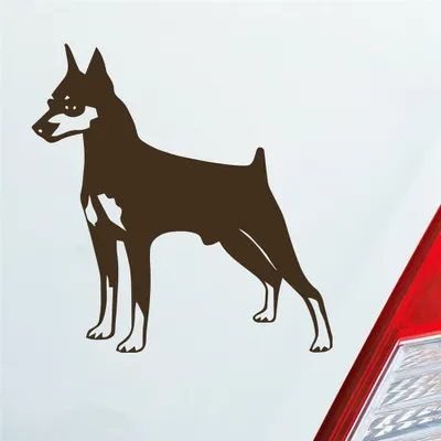 Produktbild von Auto Aufkleber Zwergpinscher Hund Dog Animal 10x10 cm Braun Sticker Heckscheibenaufkleber