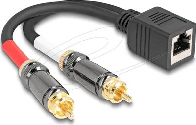 Produktbild von DELOCK Adapter RJ45 Buchse < 2 x Cinch Stecker schwarz 20 cm