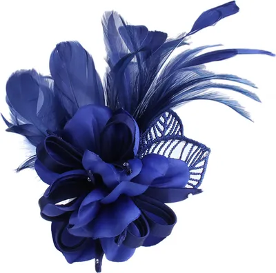 Produktbild von Brosche-Abzeichen, elegante Kleidung, passend zu verschleißfesten handgefertigten Stoffen, Feder-Brosche, Schal-Dekoration-Blau
