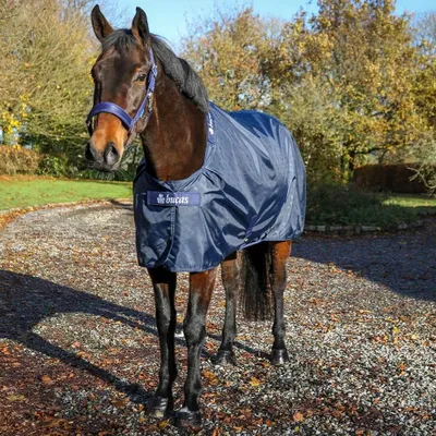 Zdjęcie produktu dla Bucas Stable Sheet 0g
