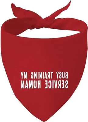 Obrázek produktu pro Bandana pro záchranářské psy se speciálními potřebami – trojúhelníková – výcvik – záchranná služba