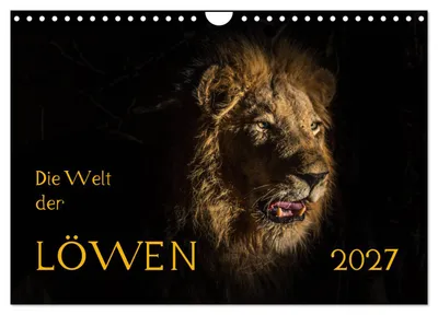 Produktbild von Die Welt der Löwen (Wandkalender 2027 DIN A4 quer), CALVENDO Monatskalender