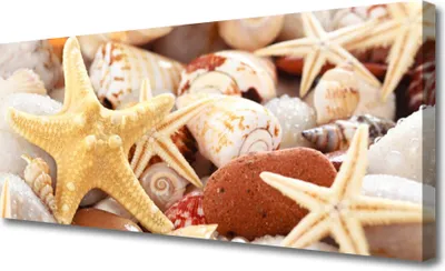 Produktbild von Tulup Leinwand-Bilder 125x50 Wandbild Canvas Kunstdruck Seesterne Muscheln Kunst