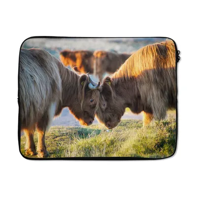 Produktbild von MuchoWow® Laptop Hülle 17 Zoll Laptoptasche Schottische Highlander - Tiere - Sonne - Zipper - Schutzabdeckung
