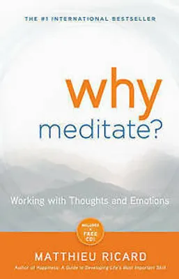 Image de Why Meditate?
