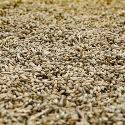 Produktbild von Handbetriebene Getreidemühle für Bierbrauerei und Brot, 1 kg Fassungsvermögen, justierbare Mahlgang