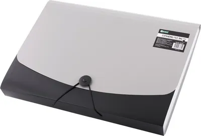 Produktbild von D.RECT Fächermappe Ordnungsmappe erweiterbar Dokumentenmappen 12 Fächer A4 schwarz 007541