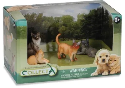 Imagen del producto de Un conjunto de 4 gatos