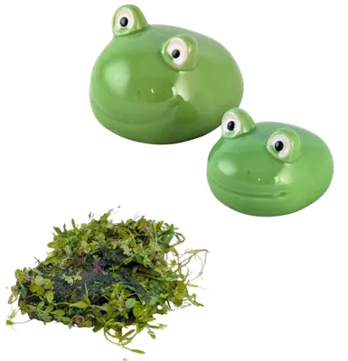 Produktbild von Miniteich Deko Set: 2x Schwimmfrosch & Wasserlinsen, Teichdeko schwimmend für Zinkwanne Balkon & Garten, Grün