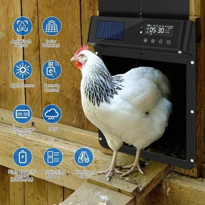 Produktbild von Elektrische Kippentür, automatisch, Hühnerstall