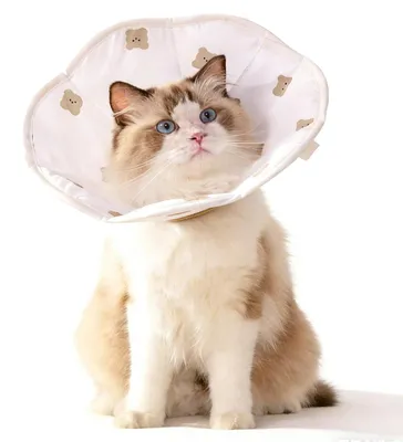 Weicher Katzenkegel, verstellbar, für Hunde & Katzen, Größe M