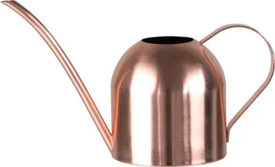 Produktbild von Gießkanne aus Edelstahl mit langem Ausguss, 450 ml