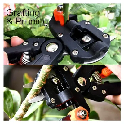 Produktbild von Obstbaum-Pfropfschere, 2-in-1 Gartenwerkzeug für Veredelung und Schnitt