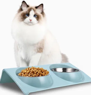 Produktbild von Famanu Katzennapf aus Edelstahl, kippbar, Futterstation für Katzen