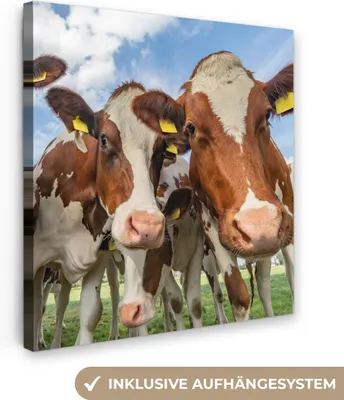 Obrázek produktu pro OneMillionCanvasses® - Obraz na plátně - Krávy - Zvířata - Pastviny - Příroda, nástěnná malba, nástěnné dekorace obrazy obývací pokoj, 90x90cm