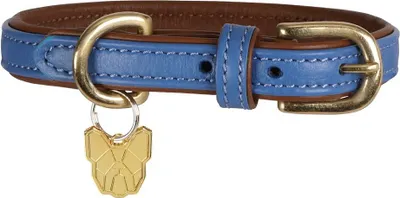 Obrázek produktu pro Digby & Fox - Obojek pro psy, kožený, polstrovaný ER2092 (S - Výstřih: 35 cm-40 cm) (královsky modrá)