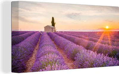 Obrázek produktu pro OneMillionCanvasses® Malba na plátně Nástěnná malba na plátně - Levandule - Západ slunce - Květiny - Fialová - 40x20cm