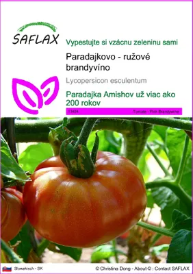 Obrázok produktu pre SAFLAX - Paradajkovo - ružové brandyvíno - Lycopersicon esculentum - 10 Semená